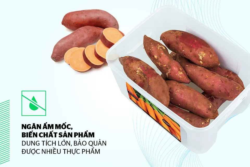 Hộp bảo quản thực phẩm khô 10000ml BioZone KB-DR10000P