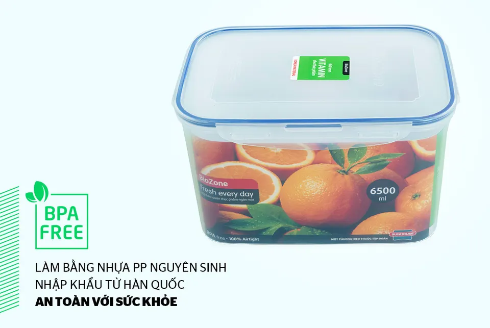 Hộp bảo quản thực phẩm ngăn mát 6500ml BioZone KB-CO6500P