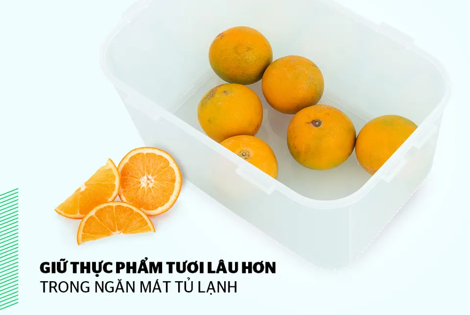 Hộp bảo quản thực phẩm ngăn mát 6500ml BioZone KB-CO6500P