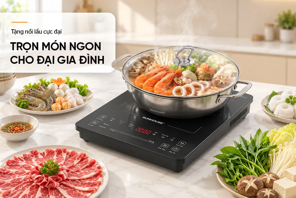 BẾP TỪ ĐƠN CẢM ỨNG SUNHOUSE SHD6875GT