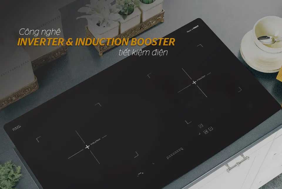 Bếp đôi điện từ APEX APB9981