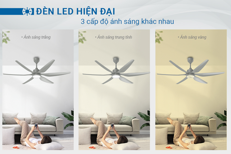 Quạt trần đèn có nhiều loại khác nhau cho người dùng thoải mái chọn lựa