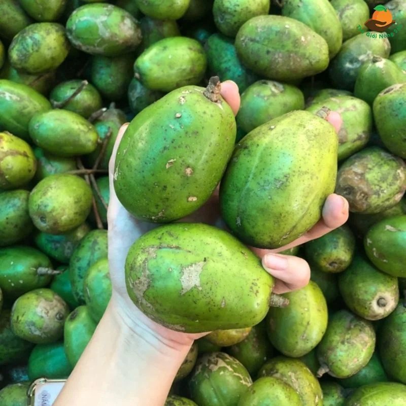 Chọn có để ép