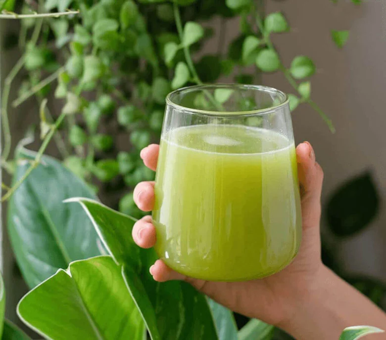 Nước ép cóc nguyên chất