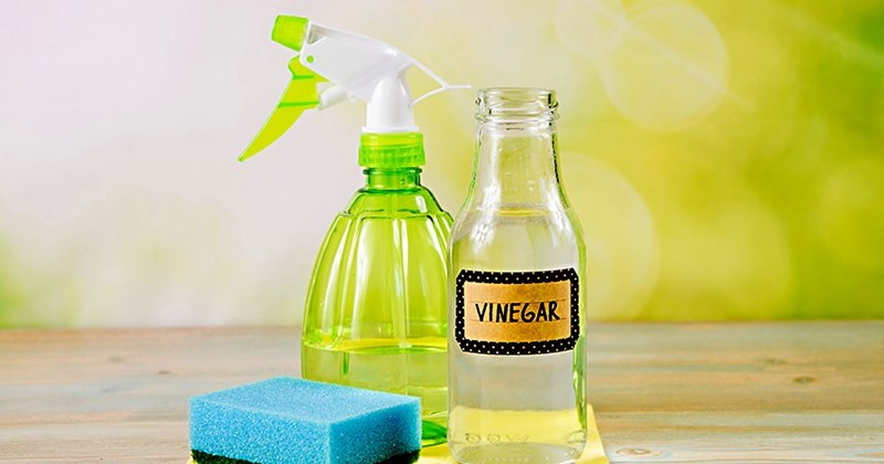 Dùng nước lau kính lau dầu mỡ