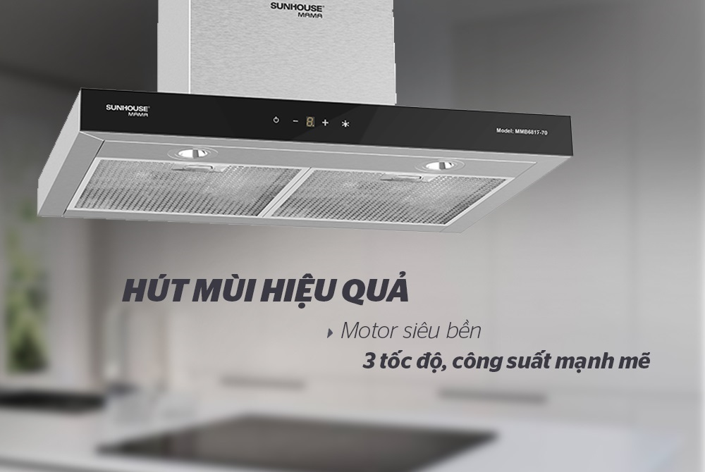 Máy hút mùi chữ T