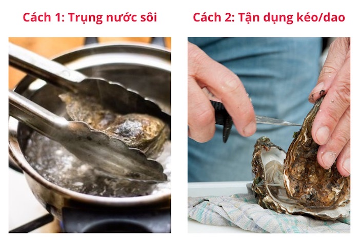 Có 2 cách mở hàu bạn có thể áp dụng dễ dàng