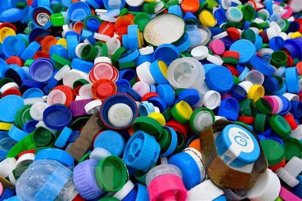 Bí kíp chọp hộp bảo quản thực phẩm đúng cách và đảm bảo an toàn 2