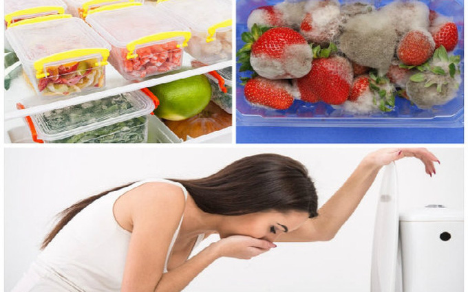 BẢO QUẢN THỰC PHẨM TRONG HỘP SAO CHO TƯƠI LÂU AN TOÀN TRONG NHỮNG NGÀY NẮNG NÓNG TĂNG CAO? 2