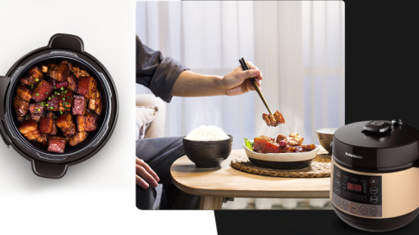 TOP 3 NỒI ÁP SUẤT ĐIỆN ĐA NĂNG SUNHOUSE TỐT NHẤT, ĐÁP ỨNG MỌI NHU CẦU 1