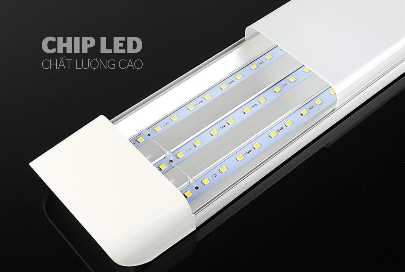 ĐÈN LED TUÝP BÁN NGUYỆT SUNHOUSE SPEC 60W SHE-TUBBN-60W-S 2