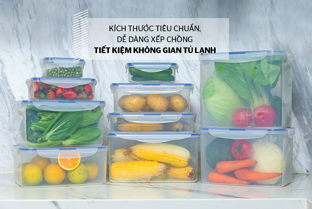BỘ 6 HỘP BO QUẢN THỰC PHẨM NGĂN MÁT BIOZONE BASIC KB-CO6P01 6
